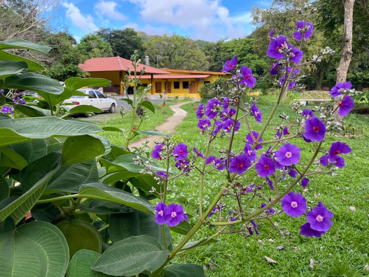 El Valle Resort & Spa - Aguas Termales El Valle de Anton 외부 사진